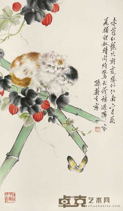 孙菊生 己末（1979年）作 猫蝶图 镜心 62×36cm